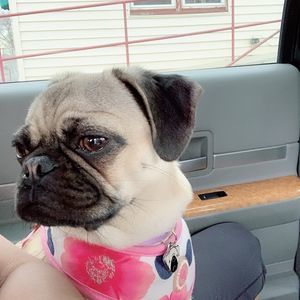 Meet your Posher, Karla